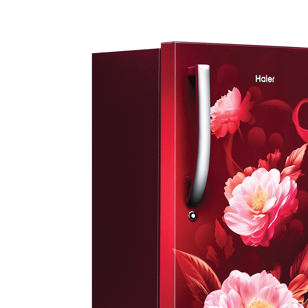Haier 190L 2 Star Direct Cool Refrigerator - HRD-2102CRV-P